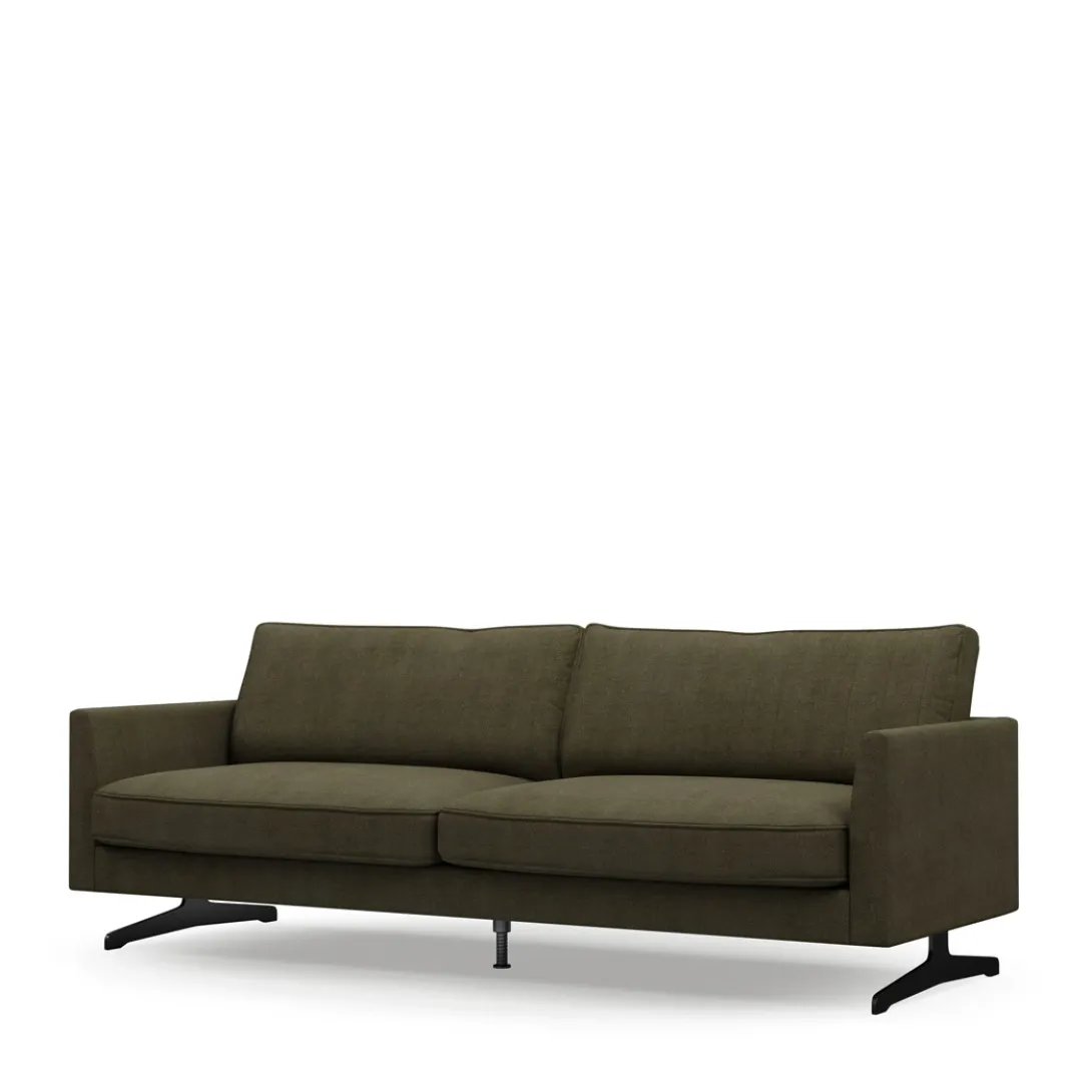 3-zitsbank The Camille, Pacific Turtle